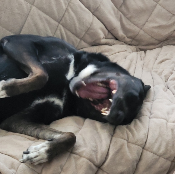 Meet your Posher, Skoolkid22 - Picture 1 of 1